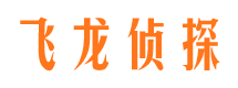 贡嘎侦探社